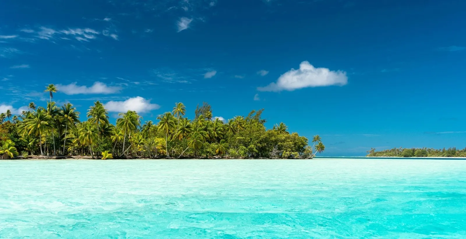 Palm-covered islet beside a bright turquoise lagoon under a deep blue sky