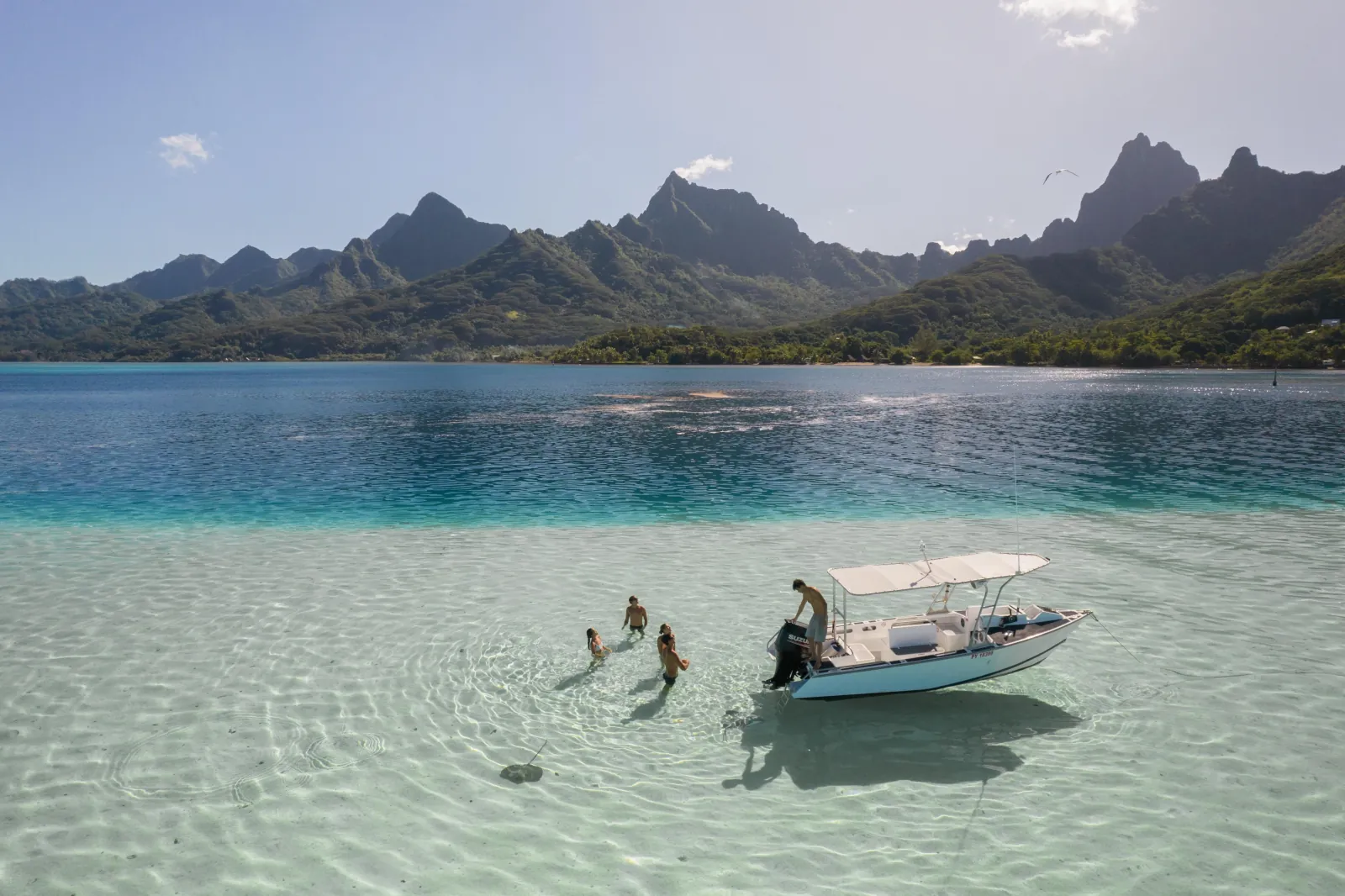 Moorea Small-Group Snorkeling Tour with Dolphin Watching