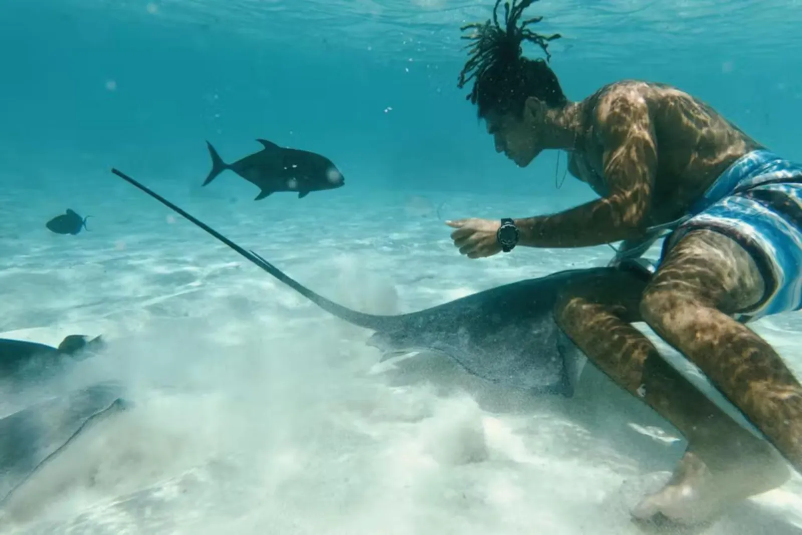 Moorea Glass-Bottom Boat Tour with Motu Lunch