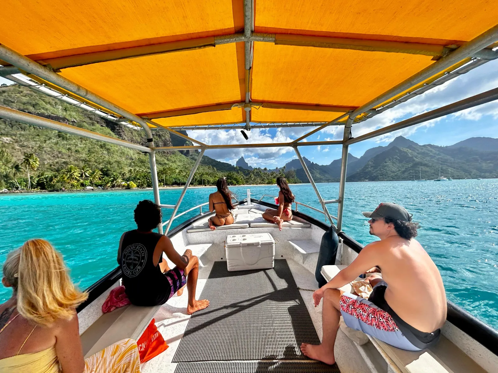 Moorea Small-Group Whale Swim and Snorkel Tour