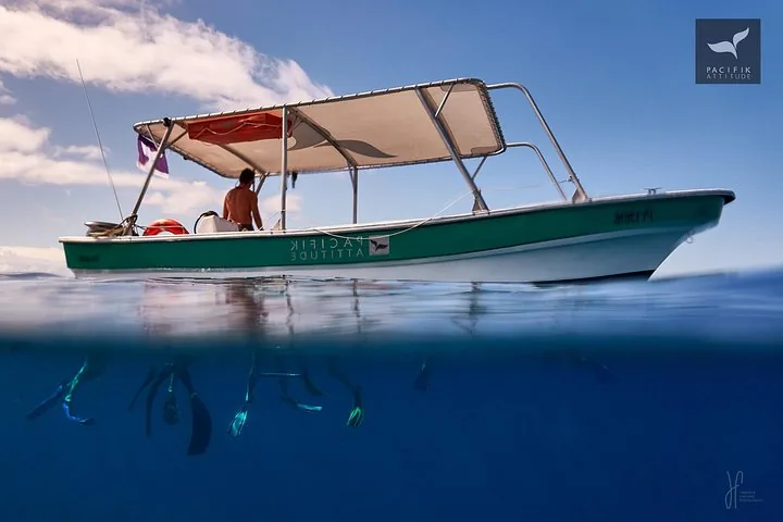 Pacifik Attitude boat on calm water with snorkelers' fins visible below the surface