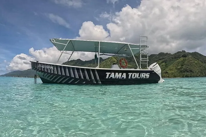 Tama Tours whale boat anchored in shallow turquoise water off Moorea